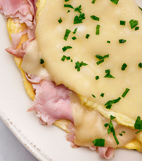 A plate with a ham and gruyere omelet.